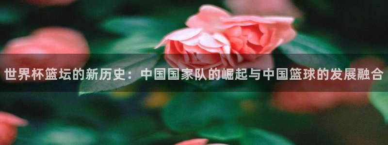 世界杯比赛赛程:世界杯篮坛的新历史:中国国家队的崛起与中国篮球的发展融合