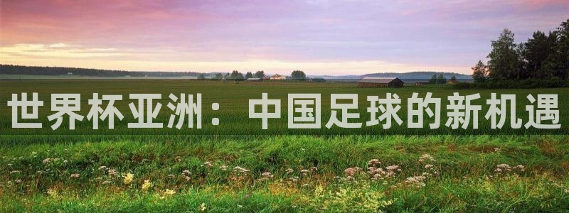 2026世界杯买球:世界杯亚洲:中国足球的新机遇