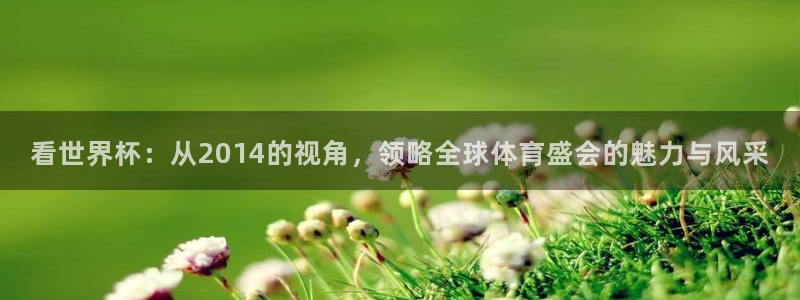 世界杯欧洲区世预赛赛程:看世界杯:从2014的视角,领略全球体育盛会的魅力与风采