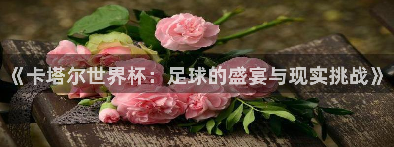 世界杯预选赛直播:《卡塔尔世界杯:足球的盛宴与现实挑战》