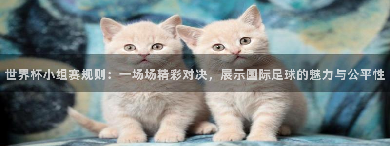 世界杯欧洲区赛程:世界杯小组赛规则:一场场精彩对决,展示国际足球的魅力与公平性